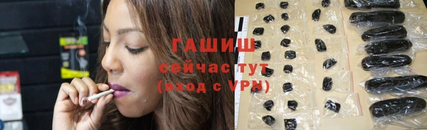 индика Аркадак