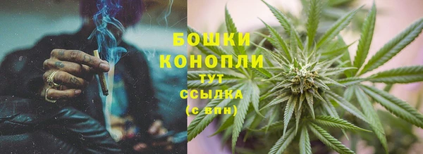 крисы Богородск